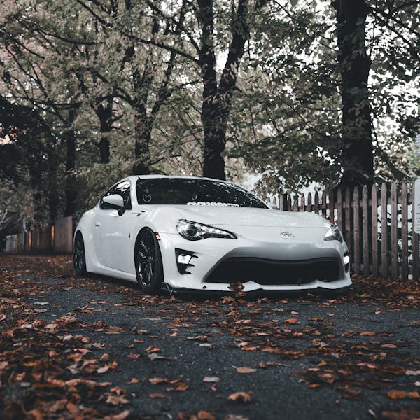 汽車(chē)用母粒